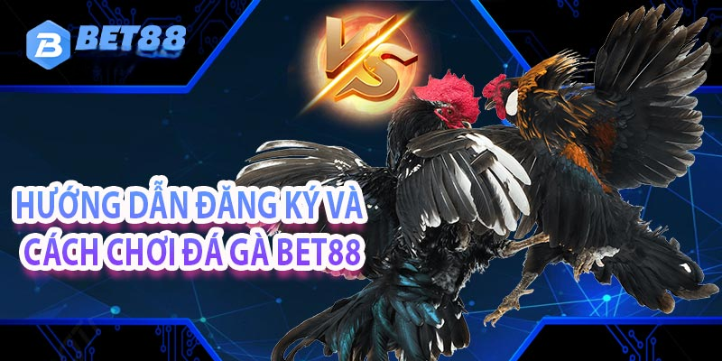Đá Gà Bet88 - Trang Cá Cược Đá Gà Trực Tiếp Uy Tín Số 1