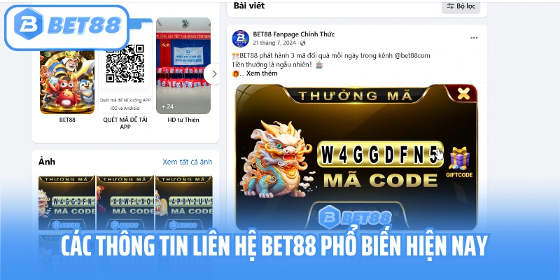 Liên Hệ BET88 – Nhận Hỗ Trợ, Xử Lý Vấn Đề Kịp Thời